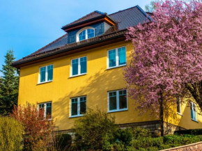 Modern apartment in the middle of the Thuringian Forest with use of garden and sauna Schönbrunn
